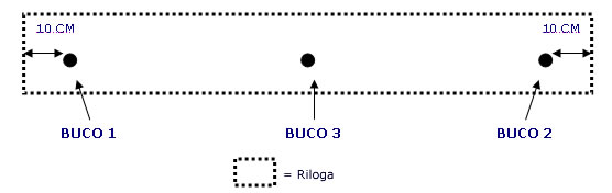 Innesto binario